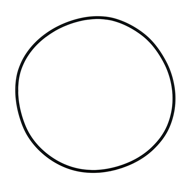 Clearguard 16000 Replacement O-Ring