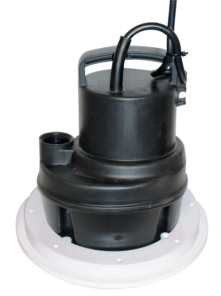 6MSP Utility/Pool Pump