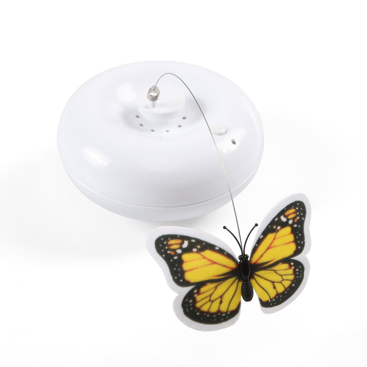 Crazy Butterfly Interactive Cat Toy